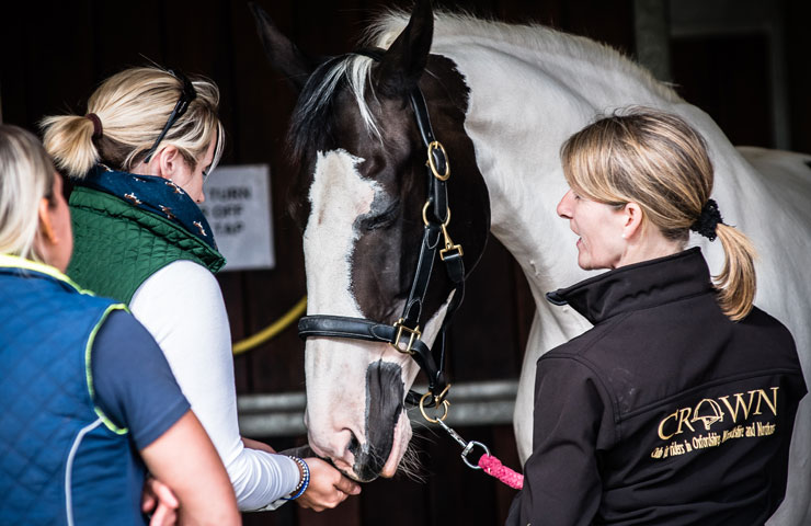 Anne providing training